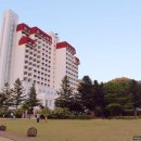 중연목장 | 켄싱턴 호텔 평창 강원도 수영장 호텔 객실 슈페리어 트윈룸 리뷰