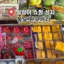 [동묘] 말랑이 성지 '동묘 완구거리' 크런치슬랑이 구매ㅣ주말 오전 방문 후기