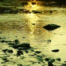 신천배수펌프장 이미지