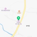 아침의향기종고실 | 제주도 여행 준비 # 숙소 예약 (애견동반숙소 추천)