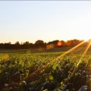 데이터팜 이미지