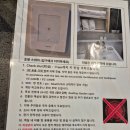 영종우리들약국 | 블루오션호텔3 숙박후기- 장단점, 안내사항, 분위기, 근처 놀거리/식당