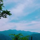 권센네민박 이미지