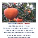 성두 농장 이미지