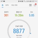 금촌배드민턴테니스