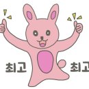 플로르미래