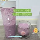 (주)에코코리아 | 필립스 소형 믹서기 에코 미니블렌더 사용후기