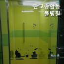 분당동물병원 판교종합동물병원 정확한 진료를 위한 선택