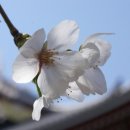 생활일본어(초급반) 이미지