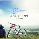 맥이비인후과의원 이미지