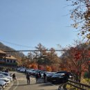 구름다리 | 증평 좌구산자연휴양림 명상구름다리 방문 후기