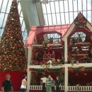 엘도라도 이미지