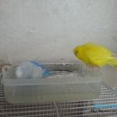 천우목욕탕