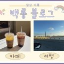 콩마니손두부 이미지