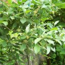 대성설피펜션 이미지