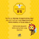 태사랑태권도 이미지