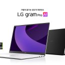 5050 티스토리