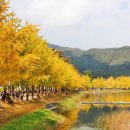 대둔산도립공원 이미지