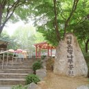 역삼은행나무공원 네이버블로그