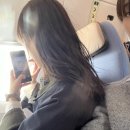 나는 민트윈스의 대장, 나랑 여행가자✈️