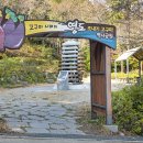 영도장식