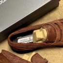 뉴리치모델 이미지