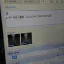 일산주엽제일튼튼의원 | 강아지 인대파열 TPLO 수술 후기 및 병원 정보 (정창수 외과 의원)