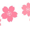 봄어린이집 이미지