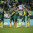 메디플랜트 이미지