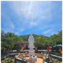 섬과 하루 이미지