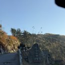 씨유(CU) 가평아침고요점 | 가평 무릉도원캠핑장 애견 동반 가능 명당 알려줌