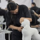 애견미용사 3급 자격증 과정 2 이미지