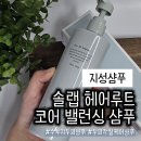 지성헤어 - 수영구 광일로29번가길 34 | 지성샴푸 찾다가 정착한 솔랩 헤어루트 코어 밸런싱 샴푸 후기