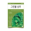 씨앗