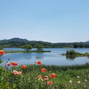 샛터공원(추가) 이미지