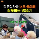 나두 데리고 가개 이미지