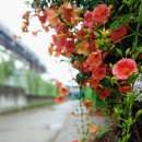 새영천공인중개사사무소 이미지