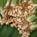 김중현 농장 이미지