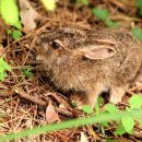 부흥환경 이미지