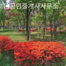 솔로몬공인중개사사무소 이미지