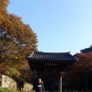 죽계농장 이미지