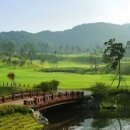 코스카cc 이미지