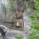 박진옥농장 이미지