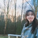 조혜주 카카오 검색결과