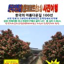 해지게길 이미지