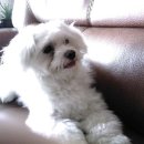 보라매약수터 이미지