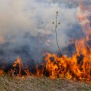 동원자동차공업사 이미지