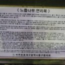 대구 팔공산(1193m) 이미지