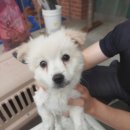 충청대로 이미지