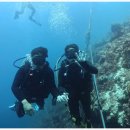 노블레스 스킨 | 세부 스킨스쿠버 초보자도 OK! 노블레스 다이브 센터 후기